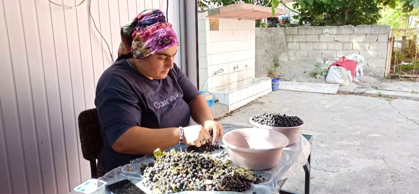 aronya meyvesi suyuna yogun ilgi a81mqmpJ