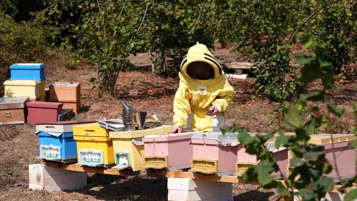 duzce universitesi mezunlari fao tarafindan gida kahramani secildi 6Mx6exJk.jpg