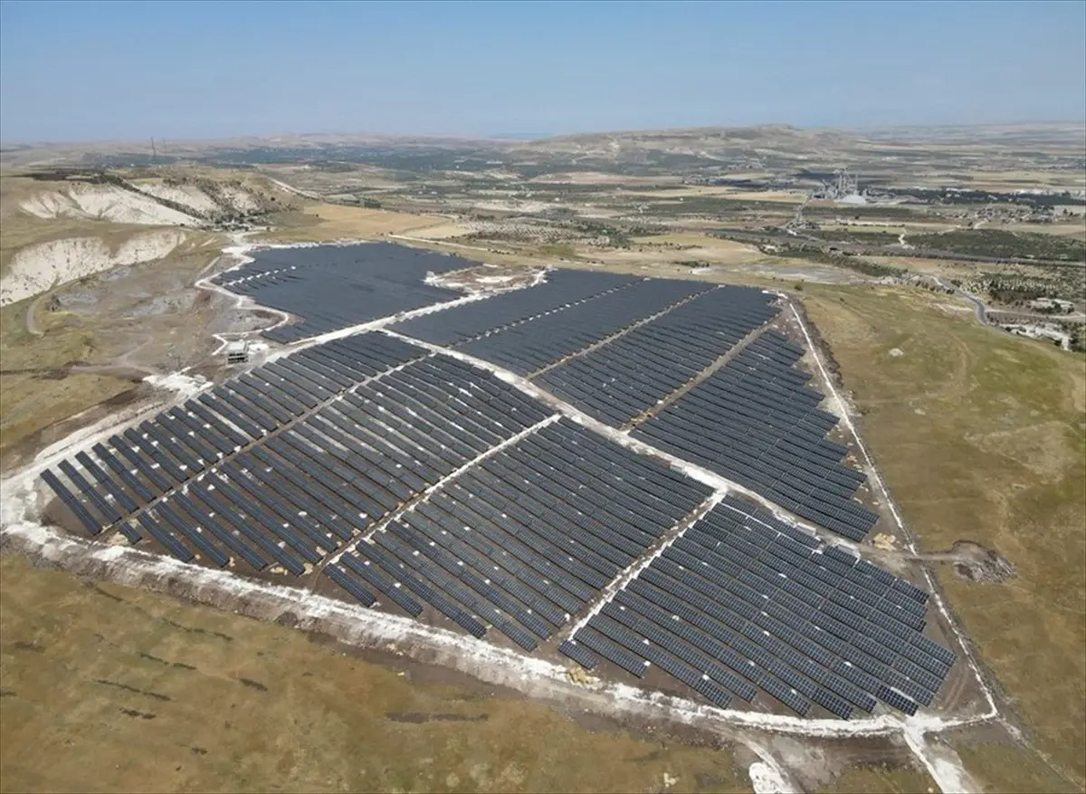 nesli tukenme tehlikesindeki cizgili sirtlan goruntulendi NZL98W5u