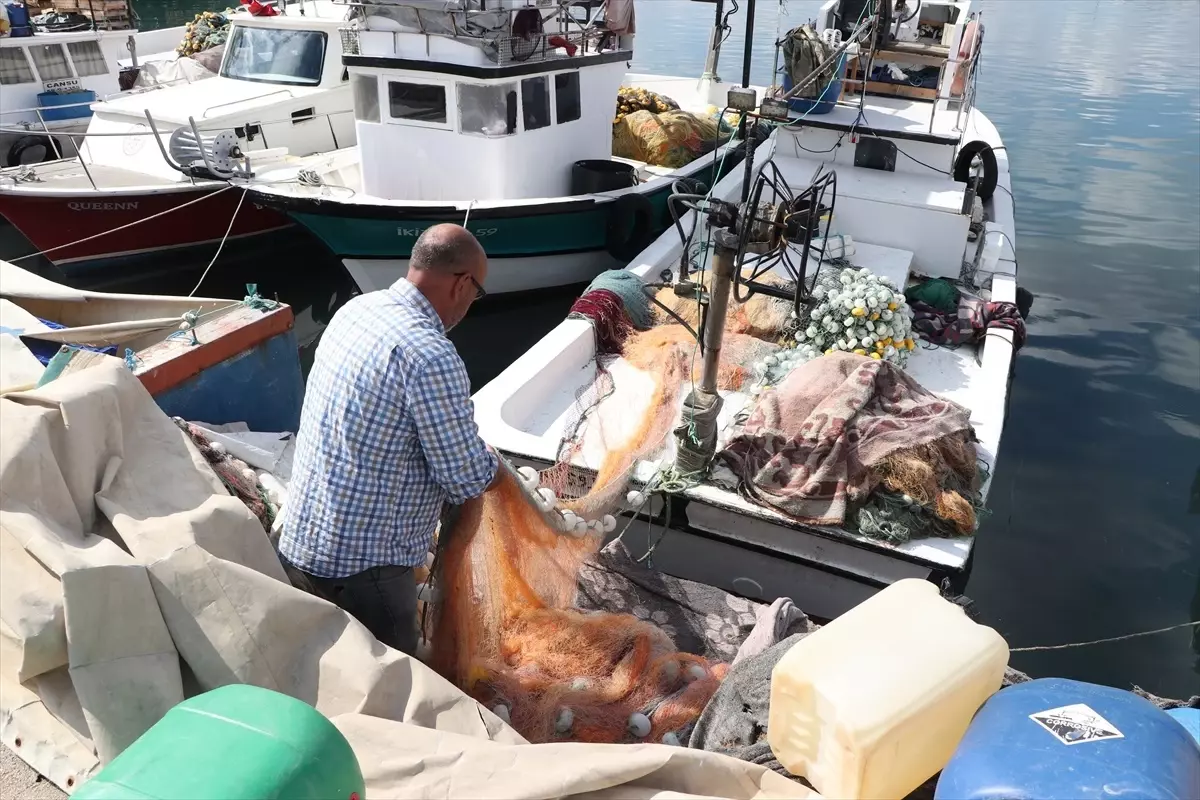 tekirdagli balikcilar istavritle gulumseiyor DRZveW2t