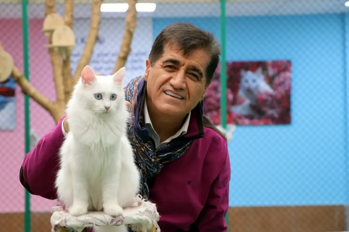 sanatci aydin aydin nesli tukenmekte olan van kedisiyle duet yapti 65u9Ms2O.jpg