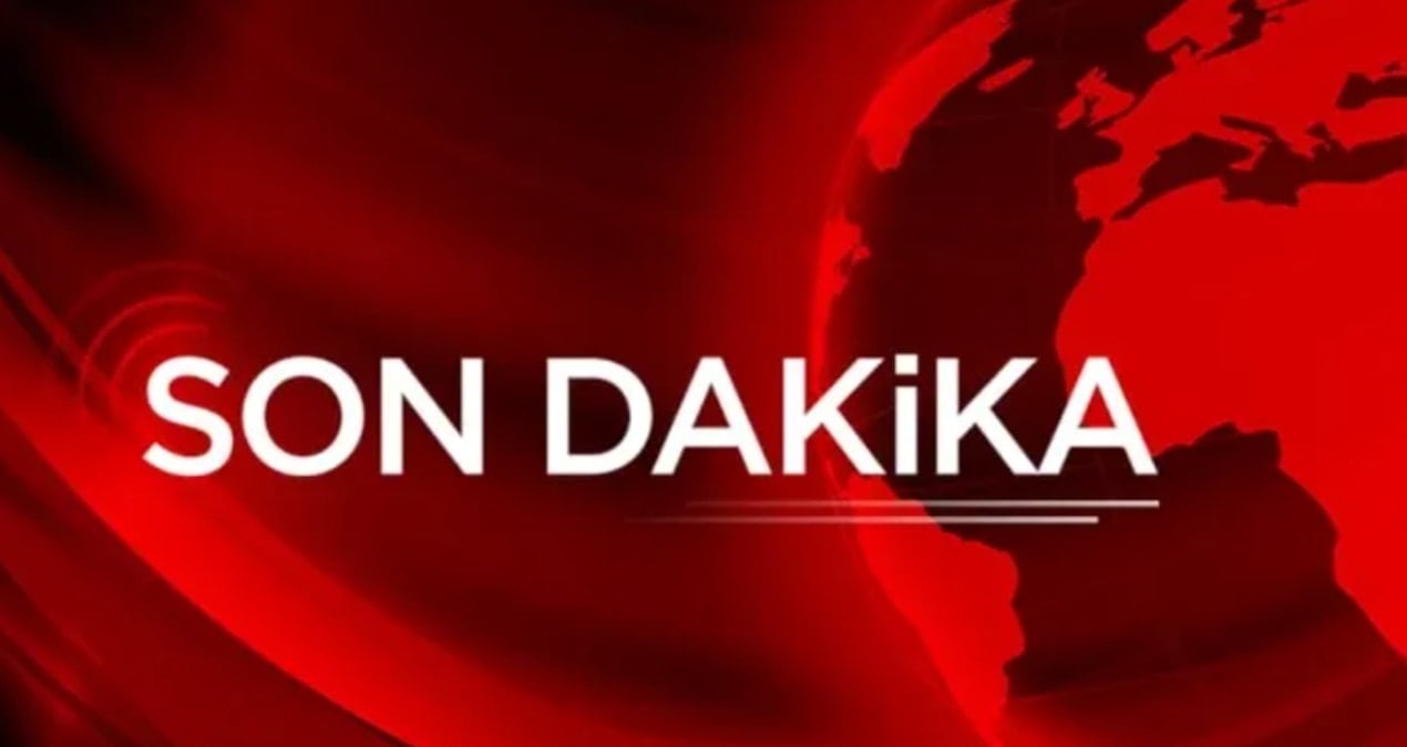 Beykoz’da Orman Yangını: Ekipler Hızla Müdahale Etti